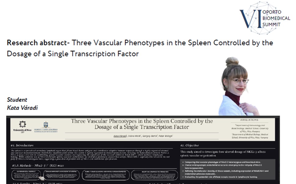 Nemzetkozi-siker-Portugaliabol-1776798972880